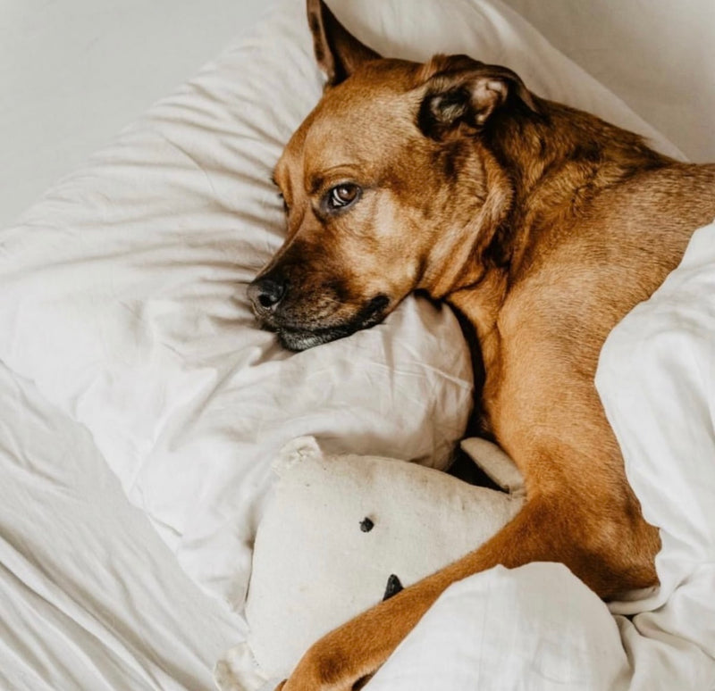 Peri-menopause series : Why can’t I sleep ?