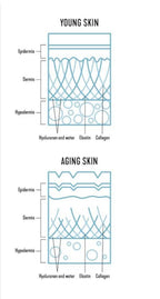 Plumped Eternal anti-ageing formula