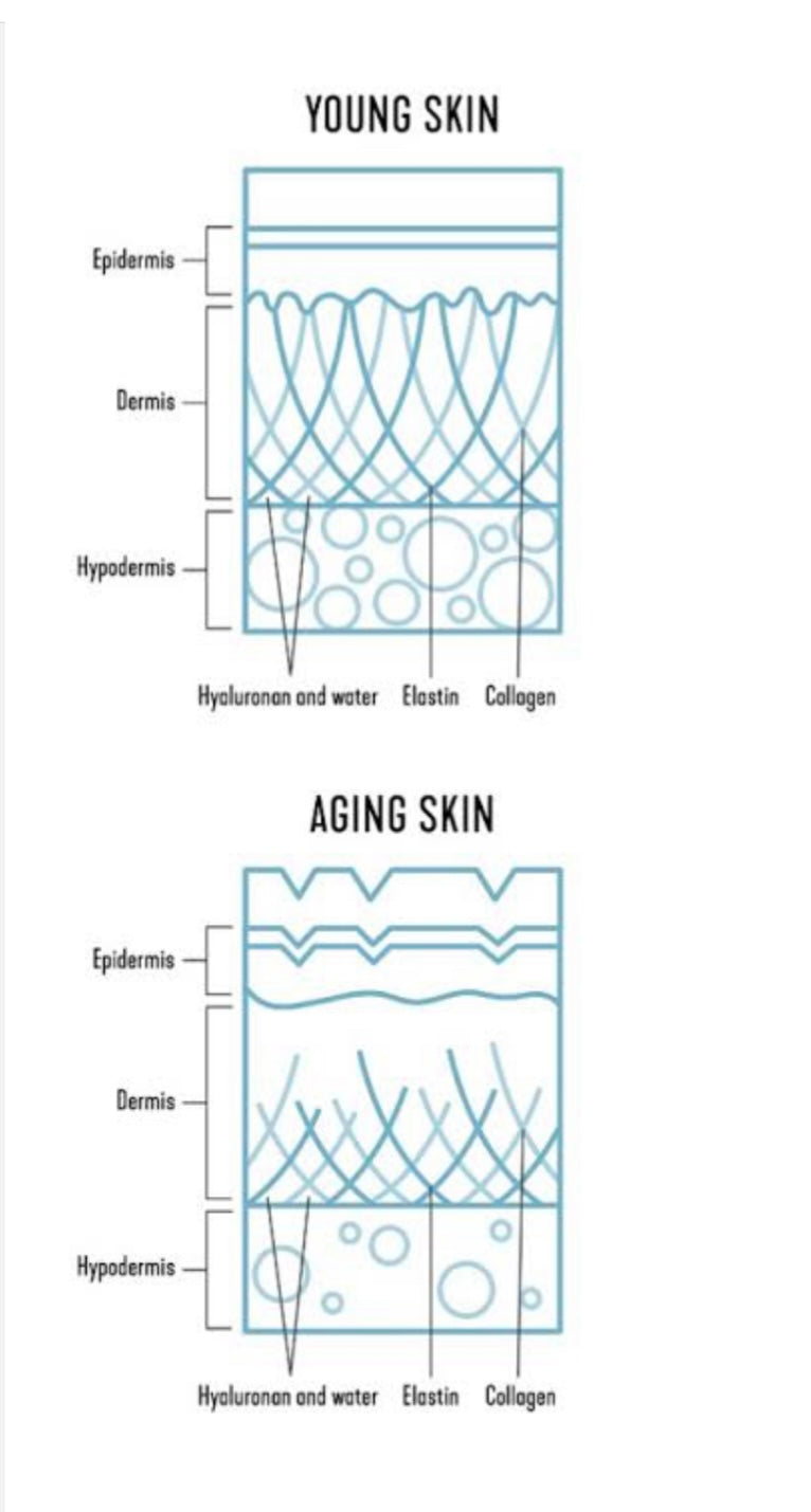 Plumped Eternal anti-ageing formula