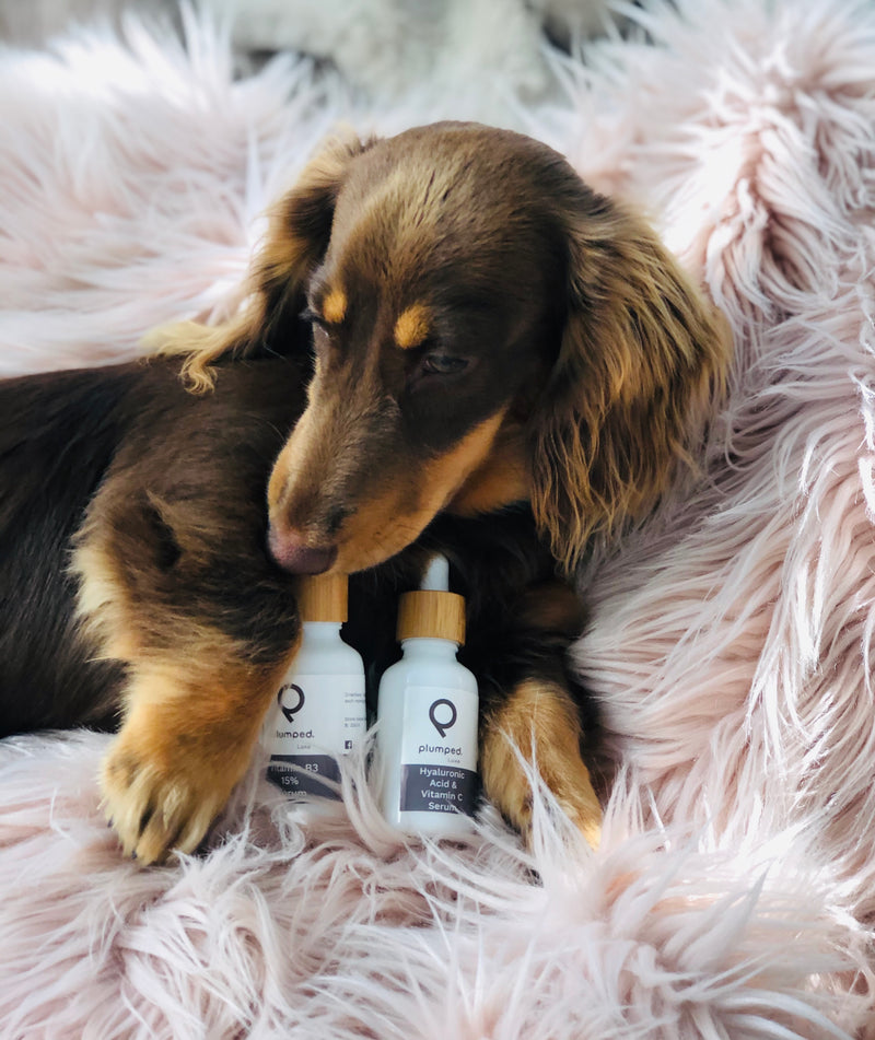 Plumped Make Me Glow Serum Duo